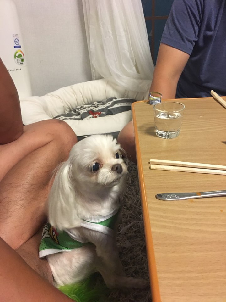 얌얌짭짭 이미지