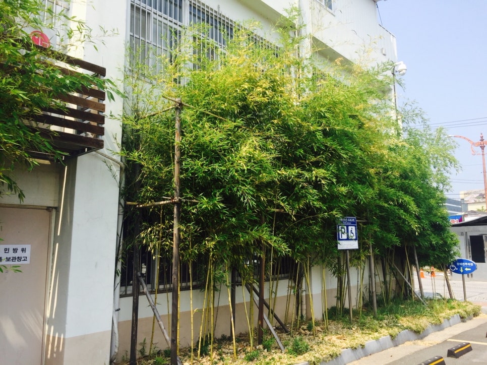 신명eng 이미지