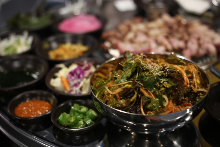 한라도니 이미지