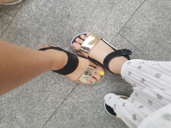 바니플랫 이미지