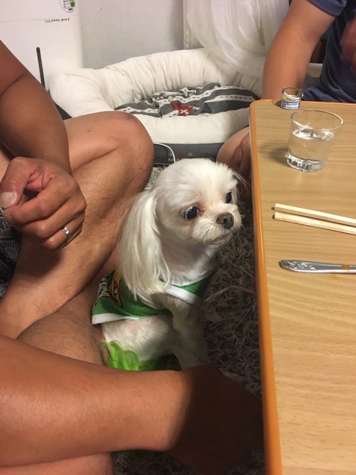 얌얌짭짭 이미지