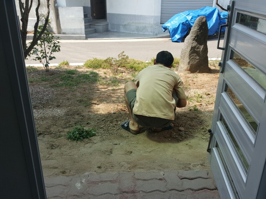 머슴인력 이미지