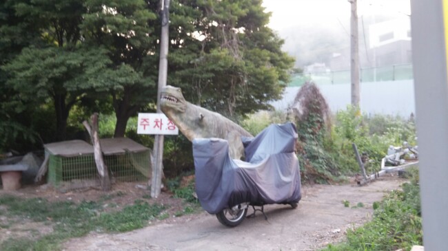 티라노식당 이미지