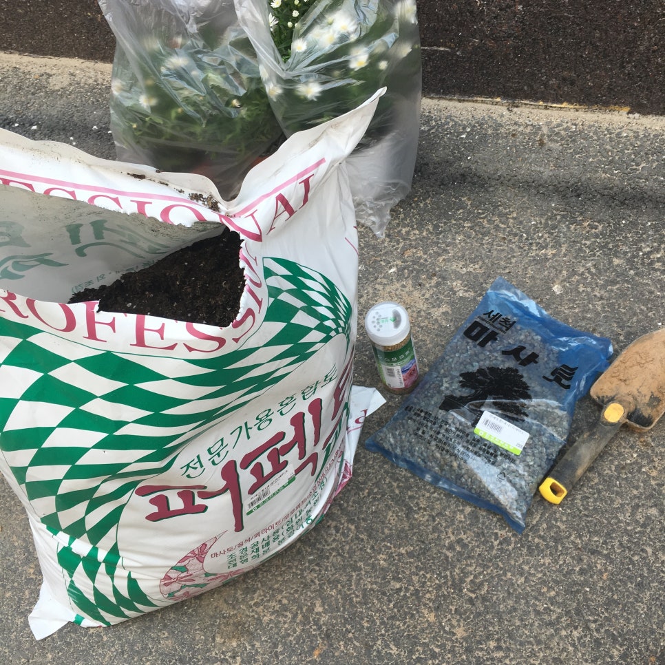 일산플라워화분마트 이미지