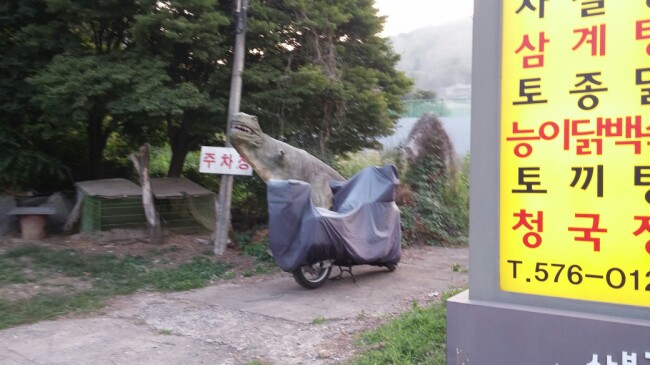 티라노식당 이미지
