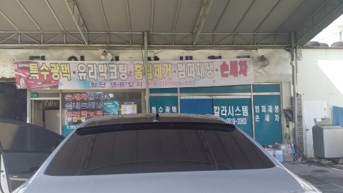 첨단덴트칼라 이미지