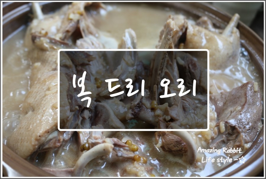 복드리오리 이미지