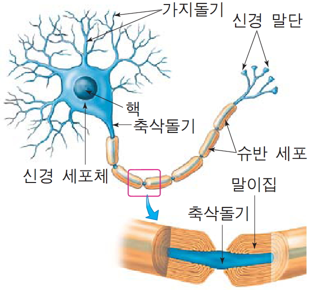 더뉴런 이미지