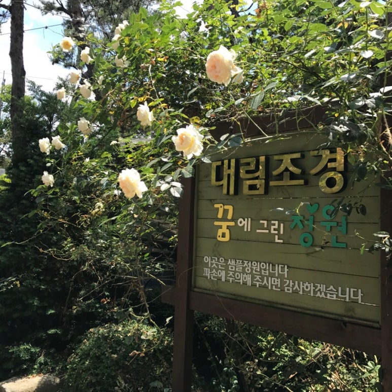 색을담는꿈 이미지