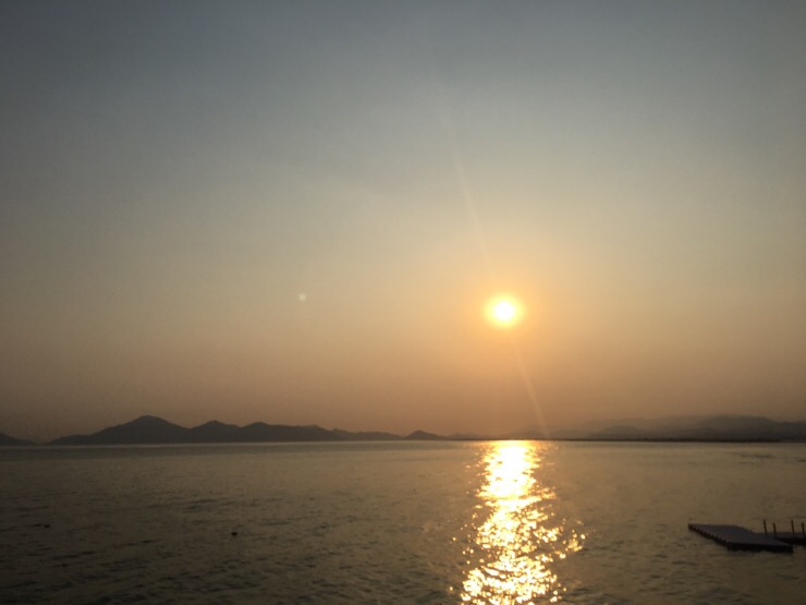 금시야식 이미지