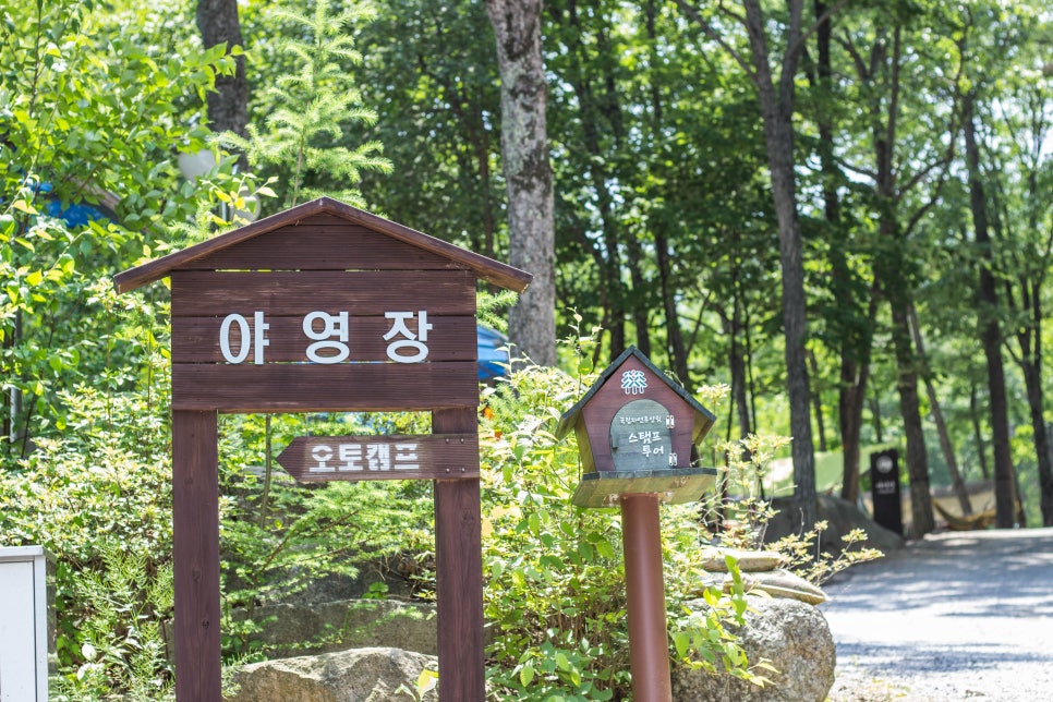 국립황정산자연휴양림캠핑장 이미지