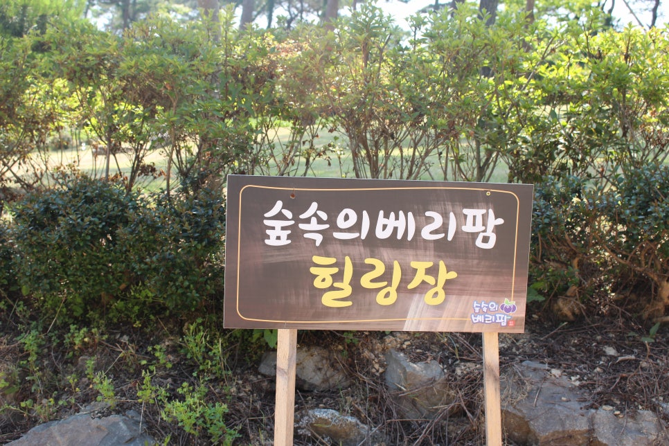 함께베리팜 이미지