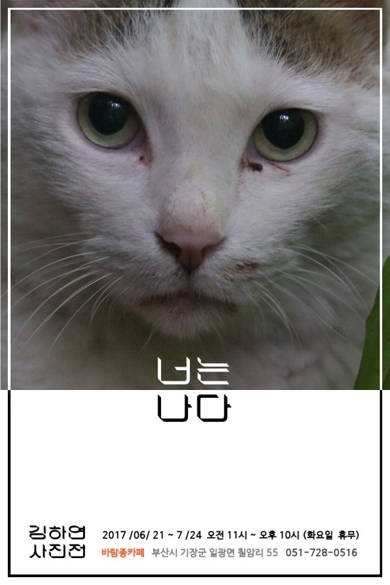 카페,나다 이미지