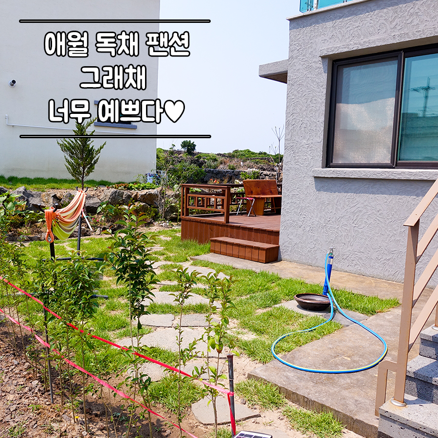 그래채 이미지
