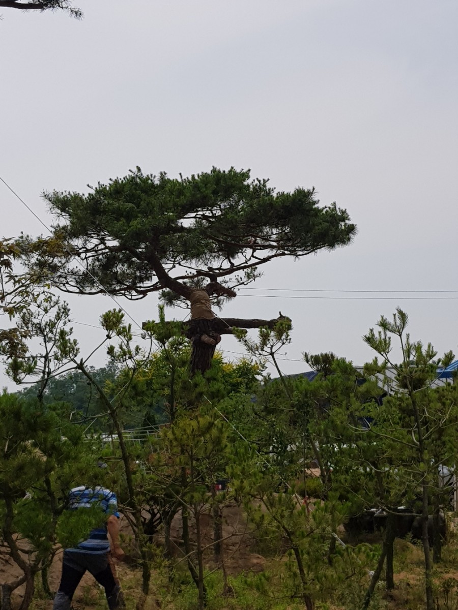 주식회사 조아 이미지