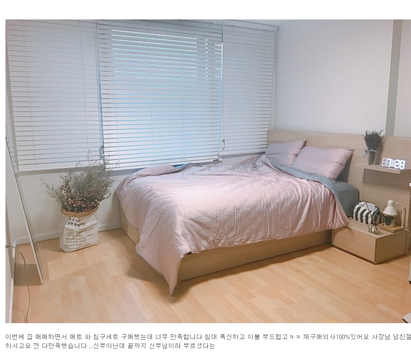 킹카바 이미지