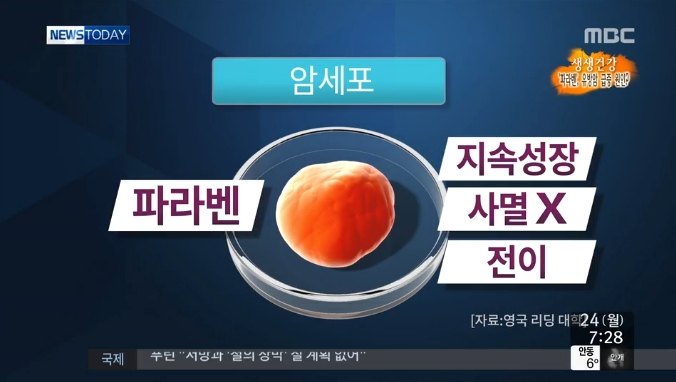 시크릿다이렉트코리아(주) 이미지