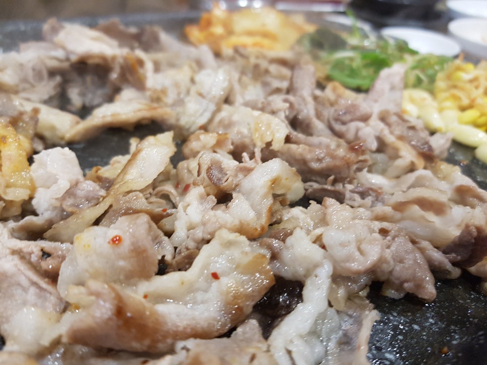 대패1900 이미지