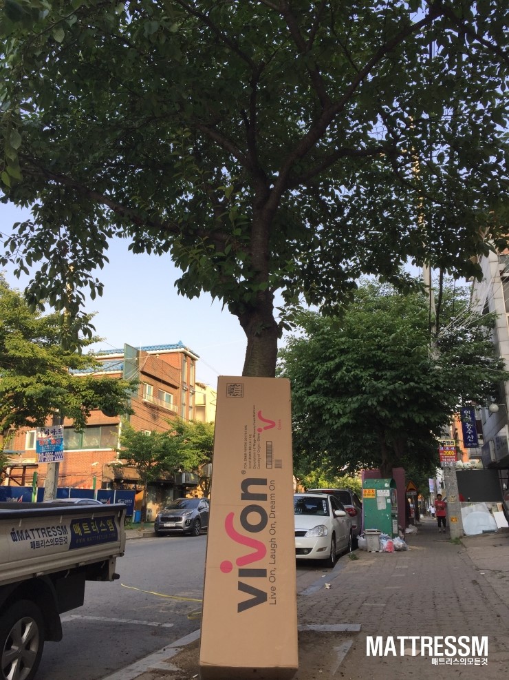 벨라엠 이미지