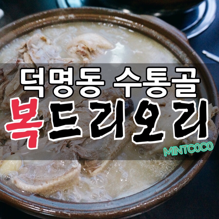 복드리오리 이미지