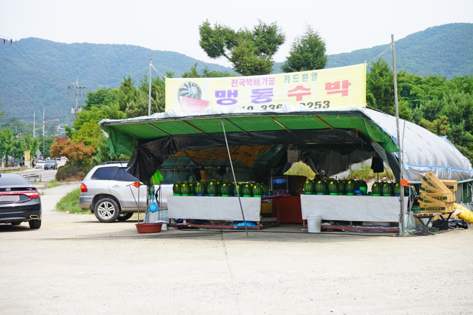 맹동주유소 이미지