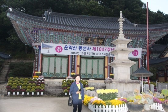다경향실 이미지
