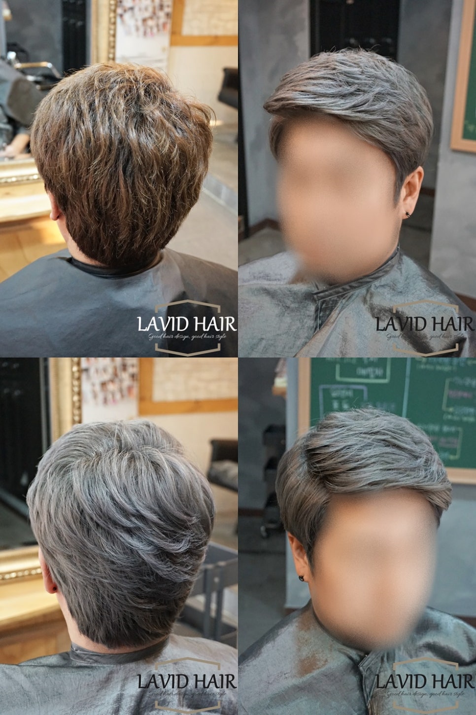 라비드헤어 이미지