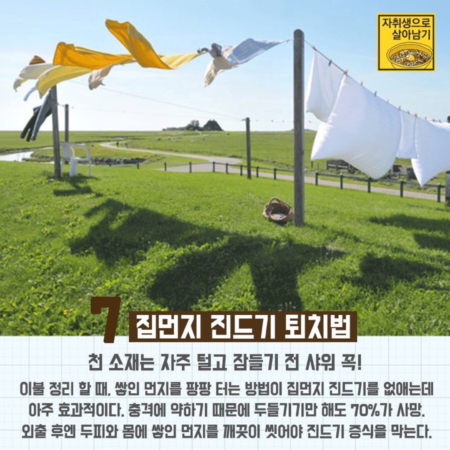 미래클린 이미지