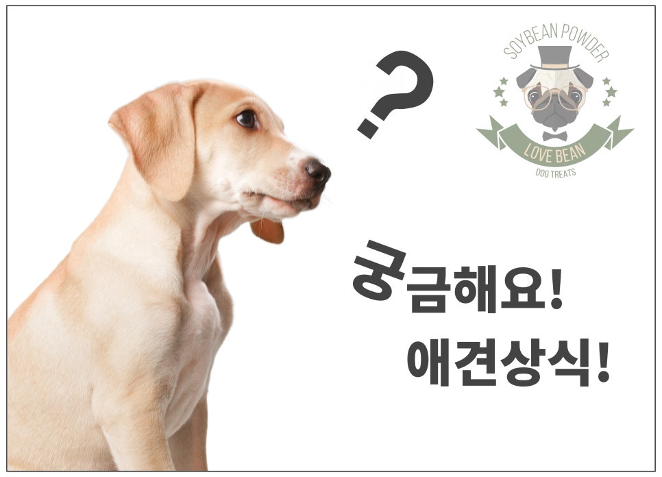 소망유통 이미지