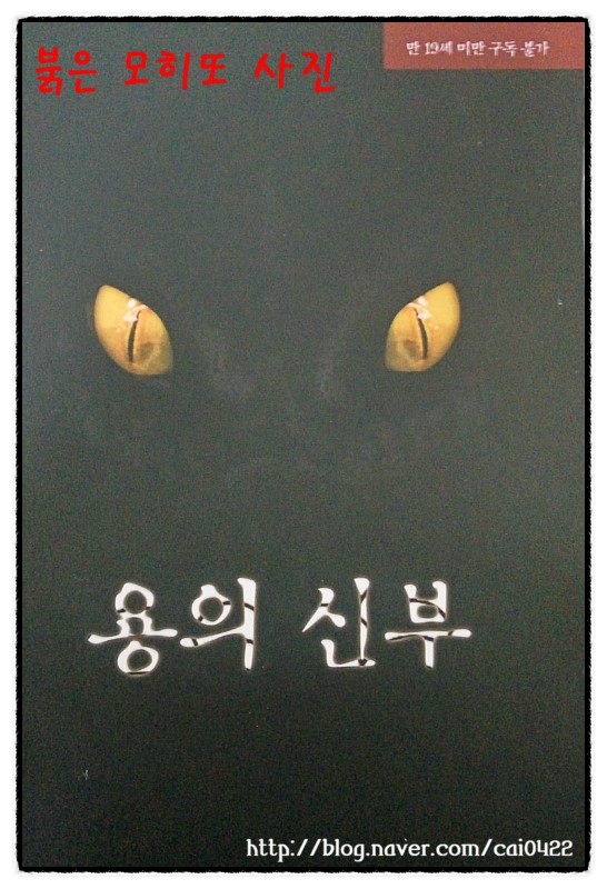 큐유 이미지