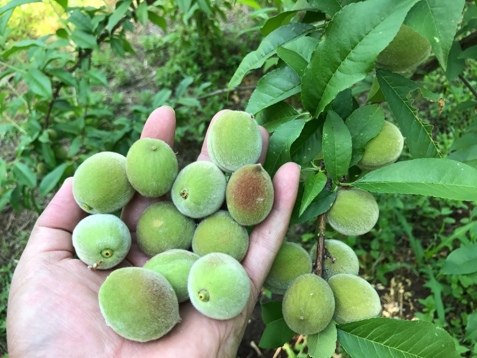 창대환경 이미지
