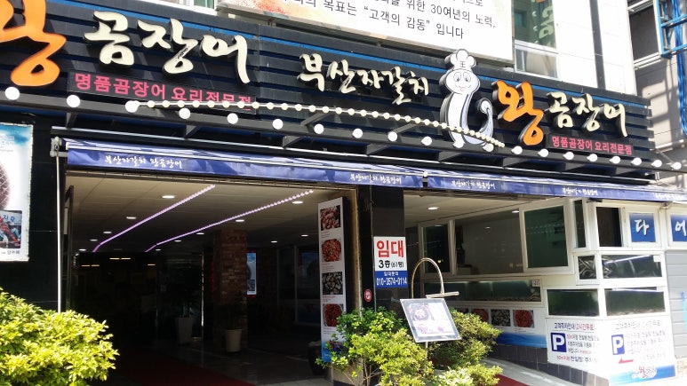 부산자갈치왕곰장어 이미지