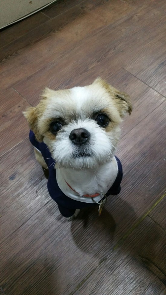 케이투컴퓨터학원 이미지