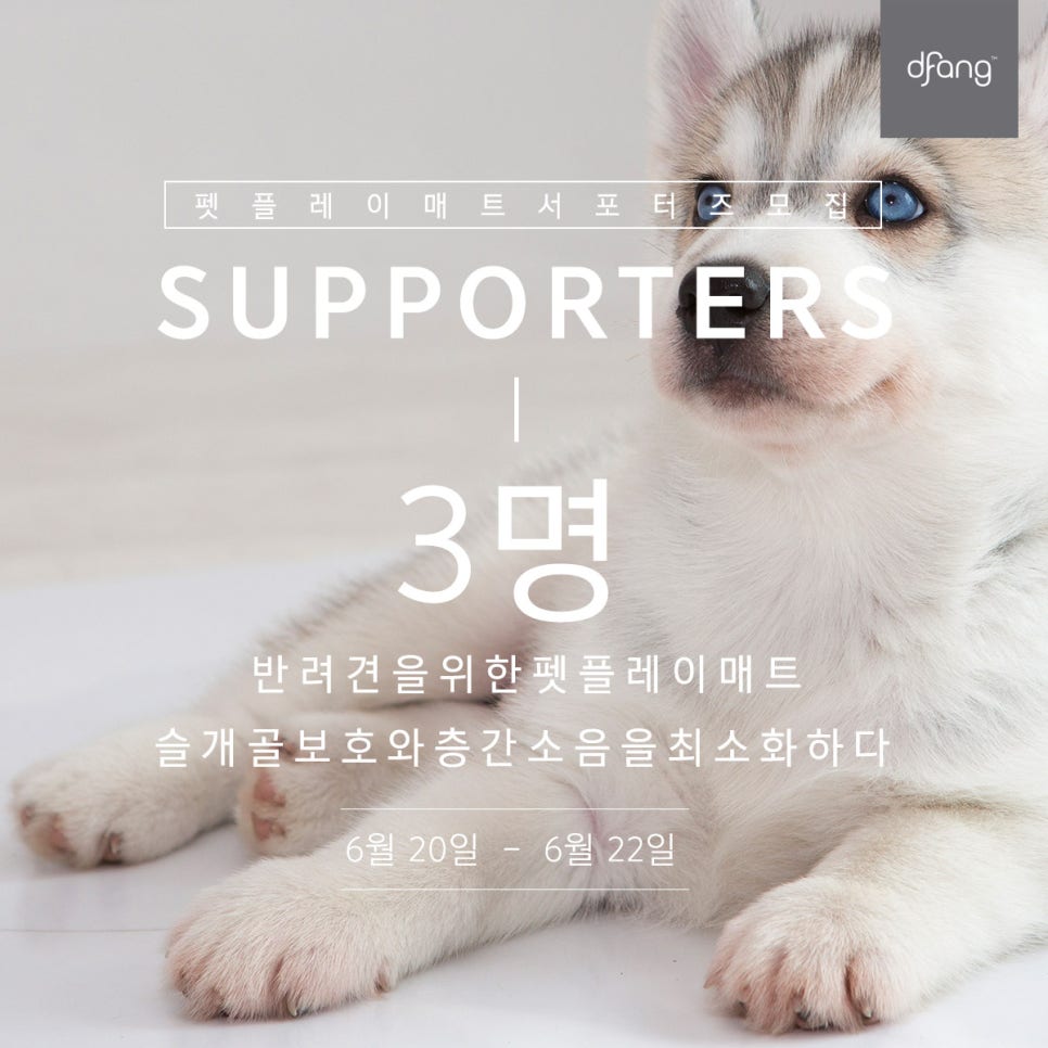 플레이펫 이미지