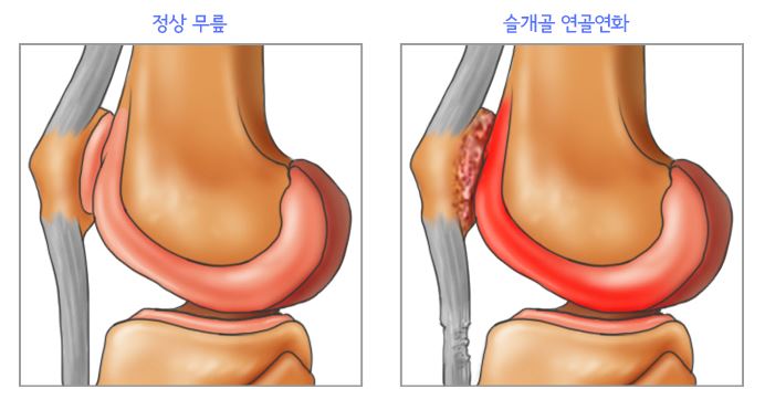 연화한의원 이미지