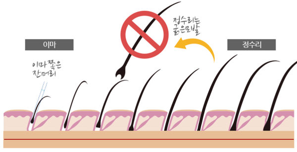 point&헤어 이미지