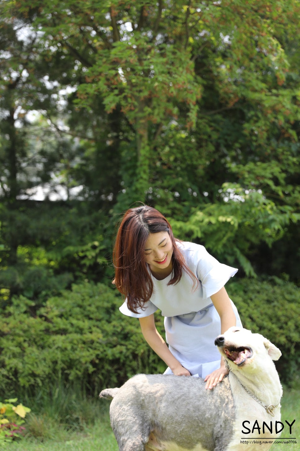스튜디오라자 이미지
