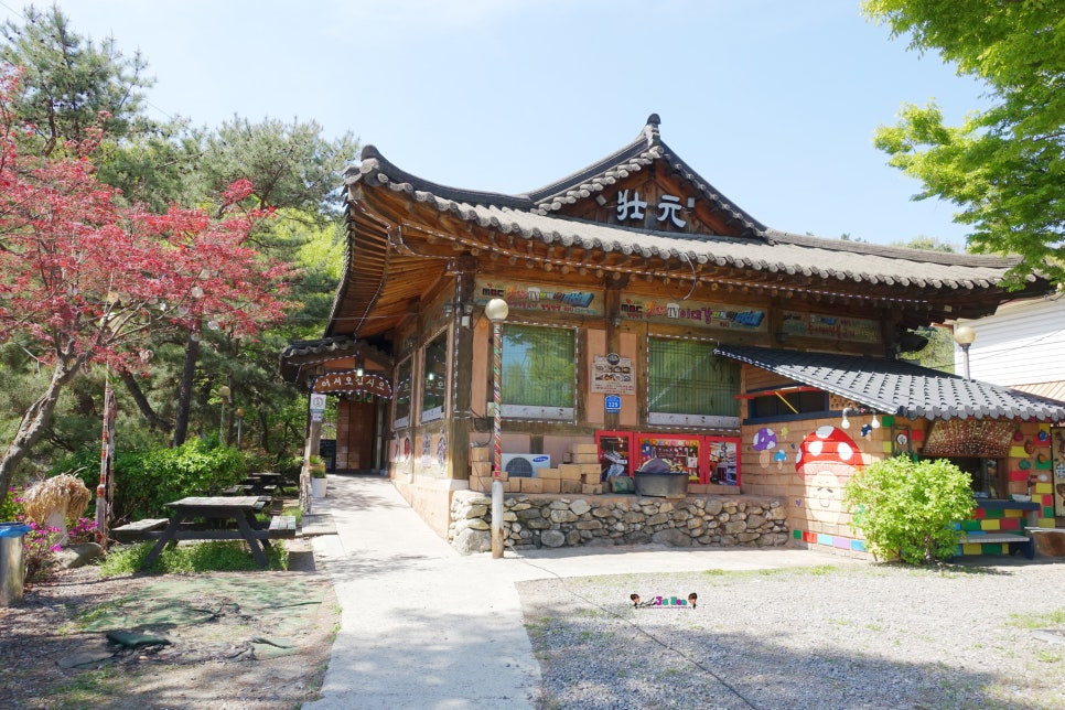 텃밭야채반찬 이미지