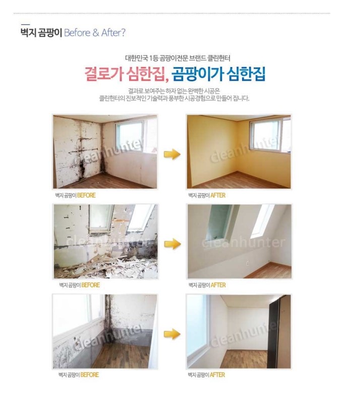곰팡이헌터 이미지