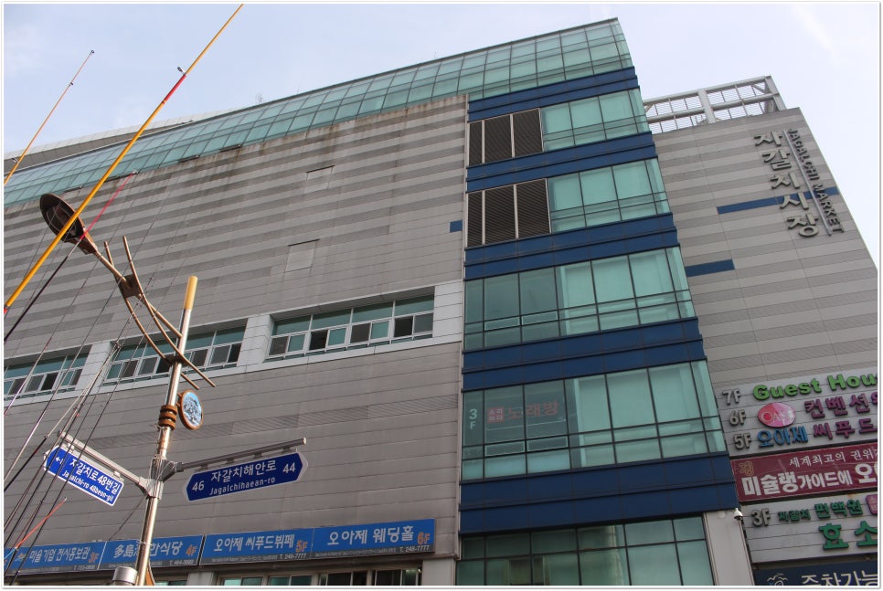 자갈치상회 이미지