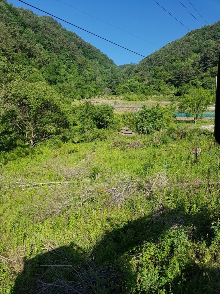 신림조경 이미지
