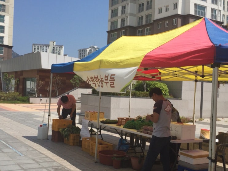 새빛푸드 이미지