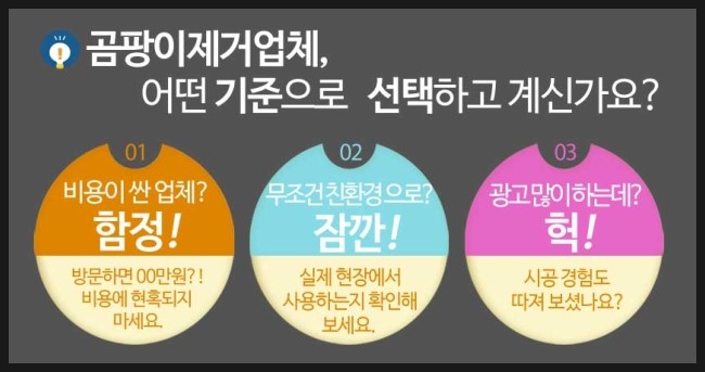 곰팡이헌터 이미지