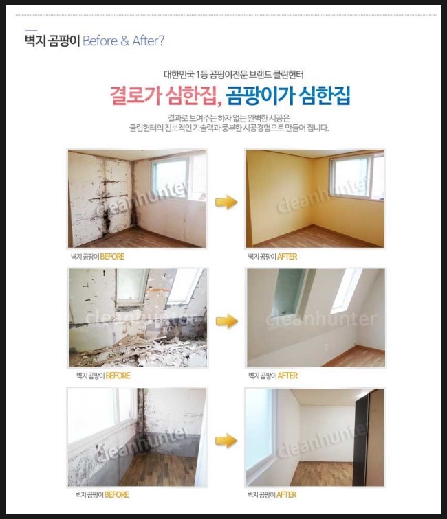 곰팡이헌터 이미지