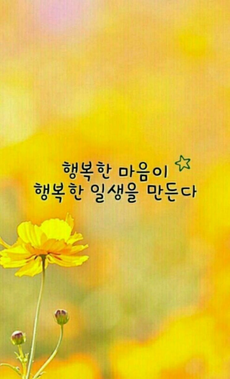 주당 실내포차 이미지
