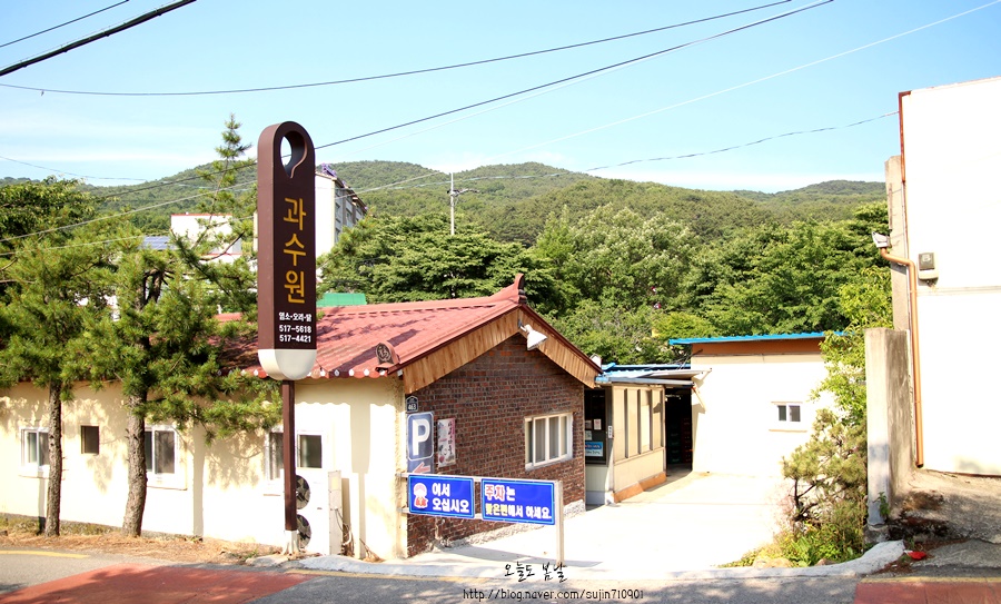 꿀맛과수원 이미지