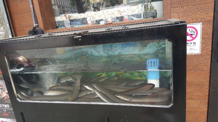 해샘원 이미지