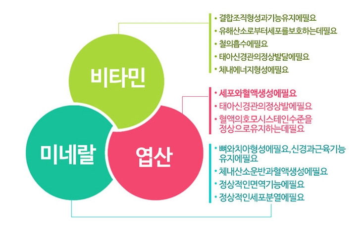 (주)쁘레 이미지
