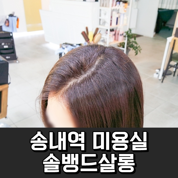 솔뱅드살롱 이미지