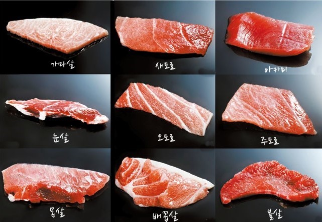 태풍참치 이미지